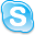 Skype icon